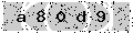 verify code