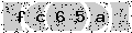 verify code